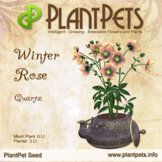 PlantPet Seed [Winter Rose *Quartz*] RARE