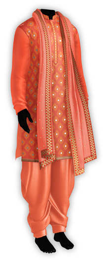 {Zaara} Naksh Kurta *coral*