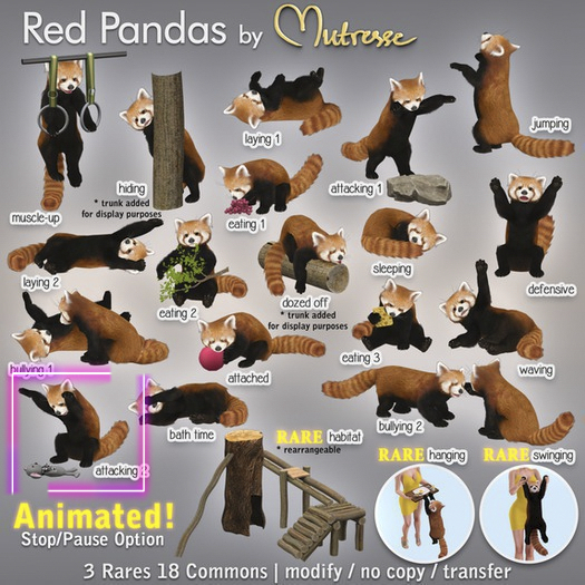 16 Mutresse - Attacking 2 - Red Pandas