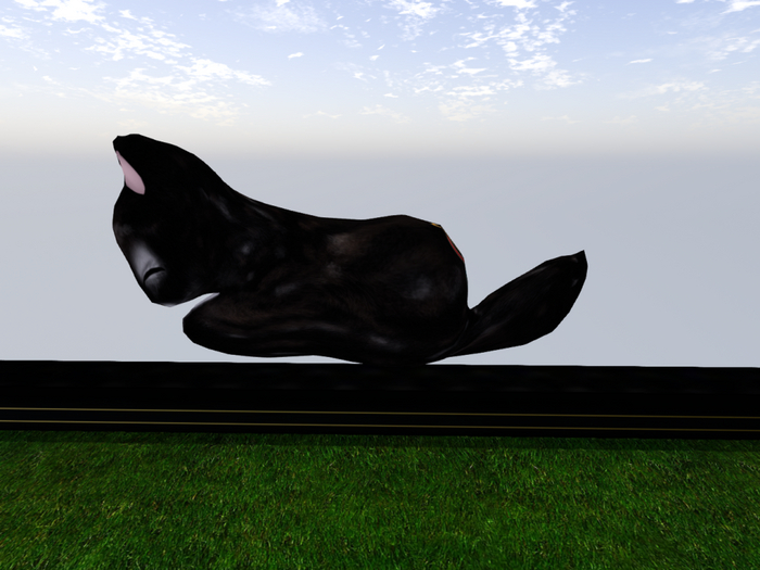 Stray Cats Kitten - Stray Kitty (F)