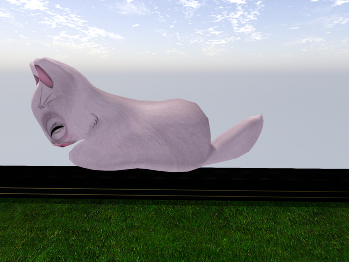 Stray Cats Kitten - Stray Kitty (F)