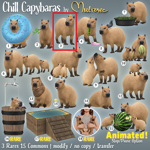 3. Mutresse-Chill Capybaras