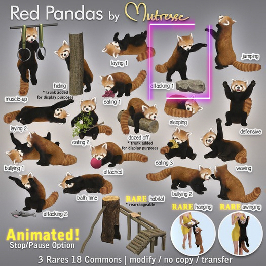 05 Mutresse - Attacking 1 - Red Pandas
