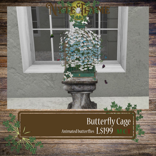 -NyteThyme- Butterfly Cage BOX