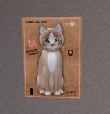 KittyCatS Box - New Born Kitten