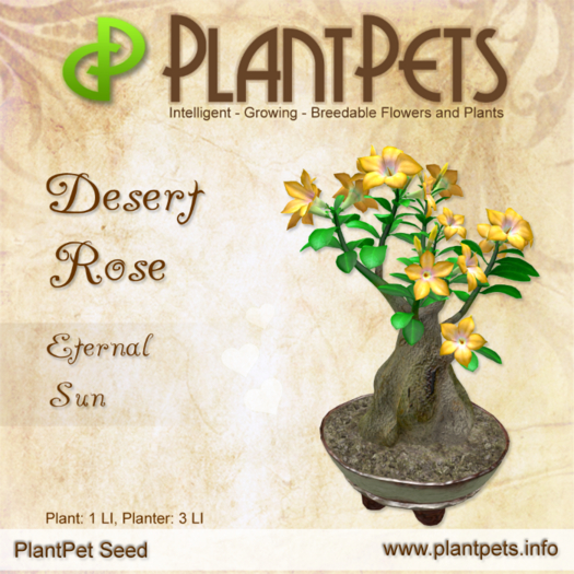 PlantPet Seed [Desert Rose *Eternal Sun*] - JUNE SALE