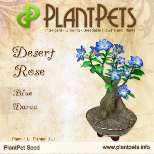 PlantPet Seed [Desert Rose *Blue Daraa*] - JUNE SALE