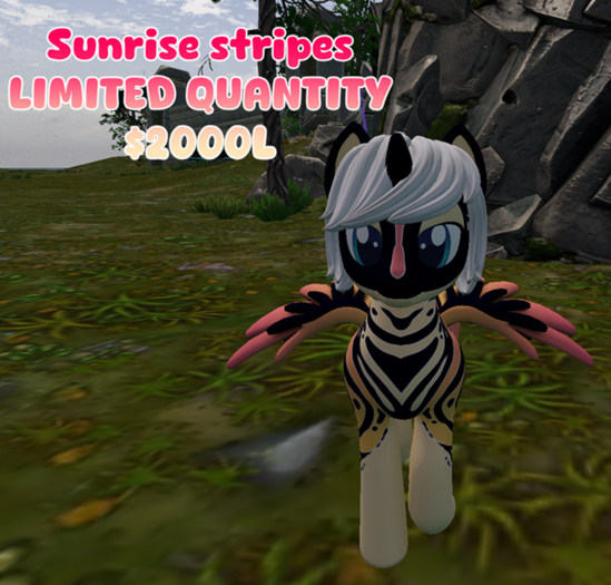 sunrise stripes (LIMITED)