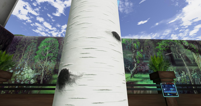 PBR Birch Bark