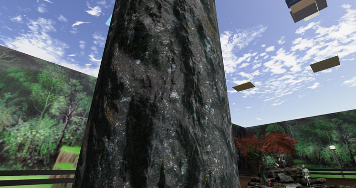 PBR Oak Tree Texture 