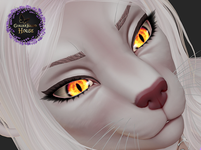 Eyebrows MARZ Silvestris