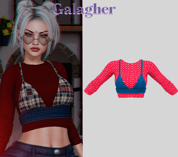 Galagher - Tilly Edition 4