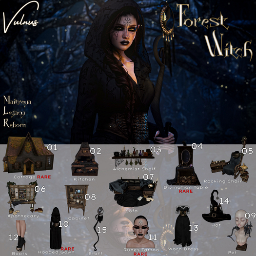 10. Vulnus Forest Witch Hooded Gown RARE - MATREYA