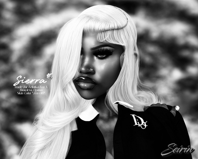 [SEIRIN] - Sierra DEMO