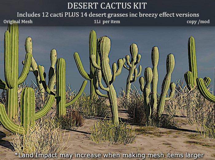 LOVE SUPERSTORE - DESERT CACTUS KIT 