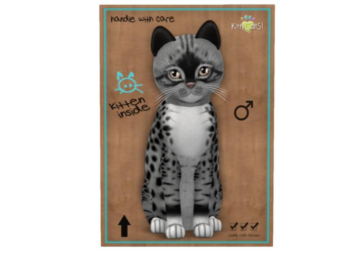 KittyCatS Box - Genesis - Bandit II