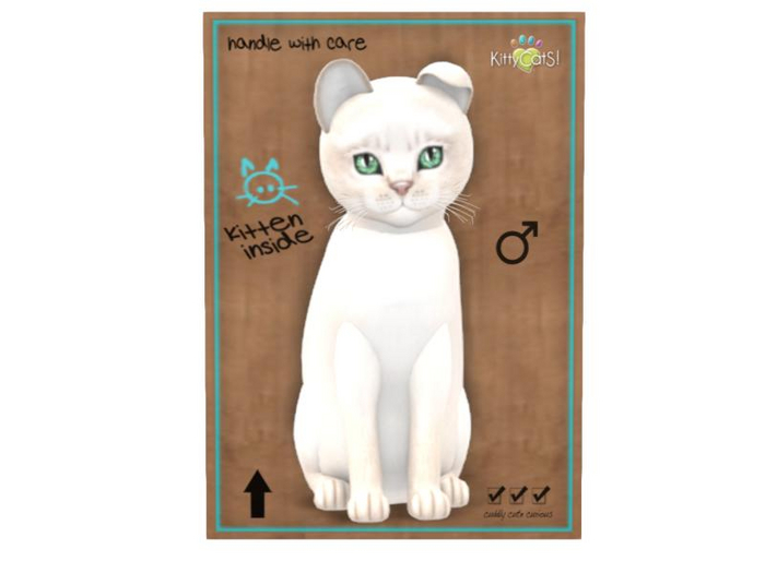 KittyCatS Box - 9T - M - Abyssinian - Creme