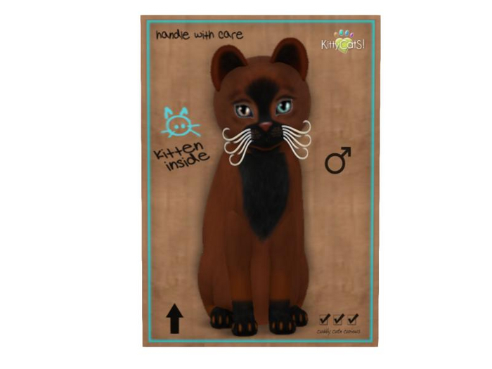 KittyCatS Box - 8T - M - Faux Puff - Chestnut