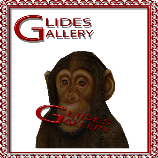 Second Texture Monkey Second Life Marketplace - monkey head sculpt w/baked texture