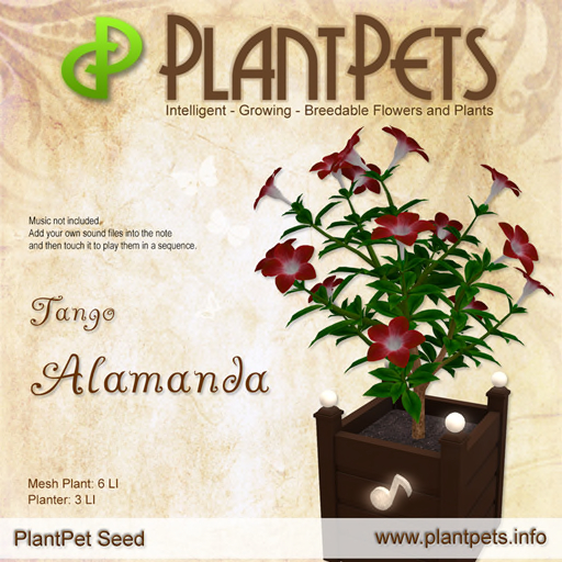 PlantPet Alamanda *Tango*
