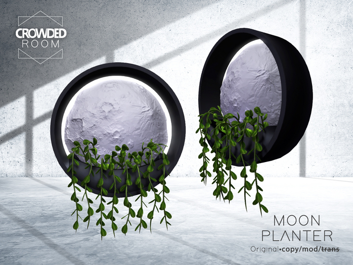 Crowded Room - Moon Planter - Black 