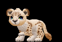 Halborn %7edb098b6598, Kreature, Löwenfell 