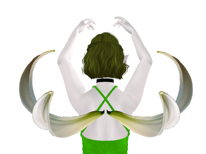 White Lily Wings