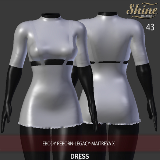 [SHINE FULL PERM] 43