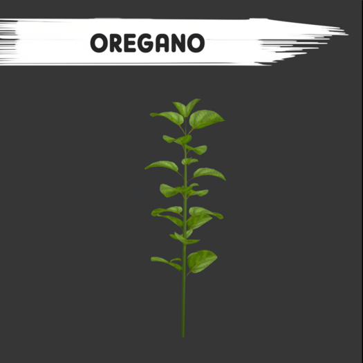 Oregano - [MyStory]