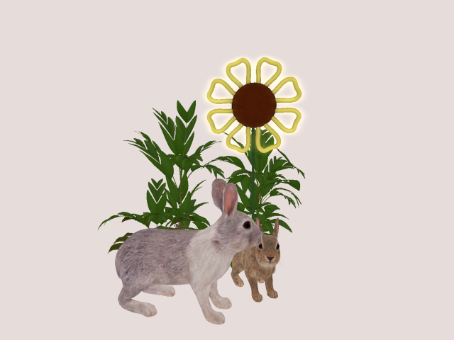 Rabbit's With Green Plant.