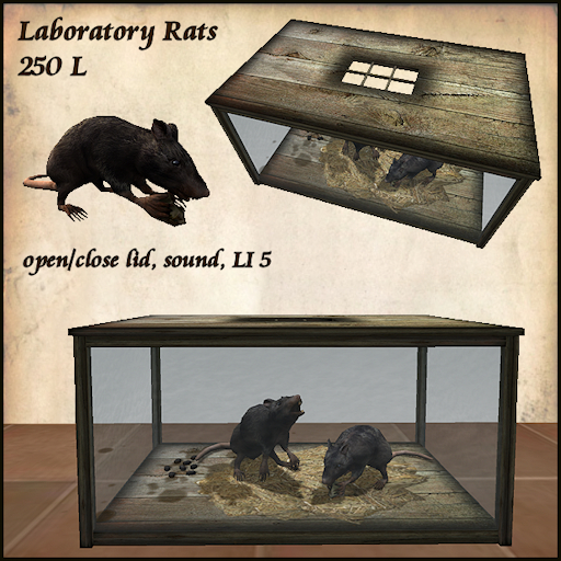 Laboratory rats in cage, with sound