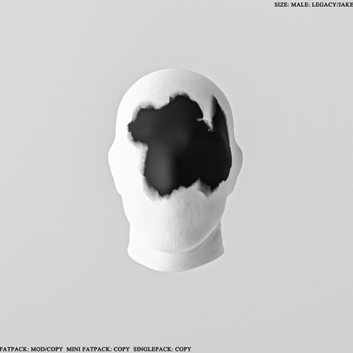 2AM-107-MASK-2