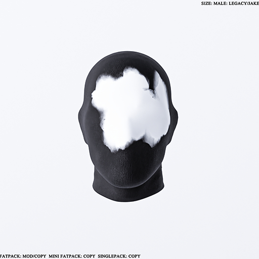 2AM-107-MASK-FATPACK