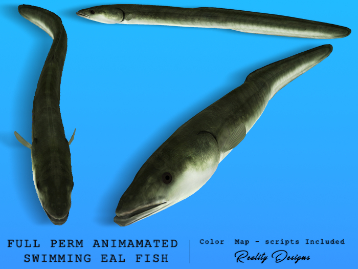 Full Perm Animated Swimming Eal Mesh