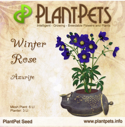 PlantPet Seed [Winter Rose *Azurite*] - Blue Common - Updated