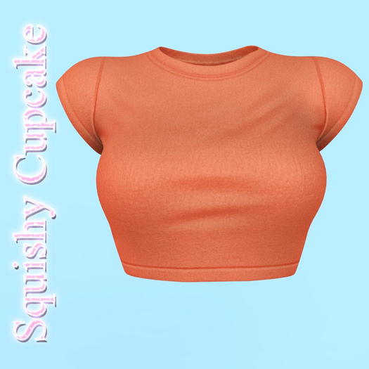 Orange Kimm Top