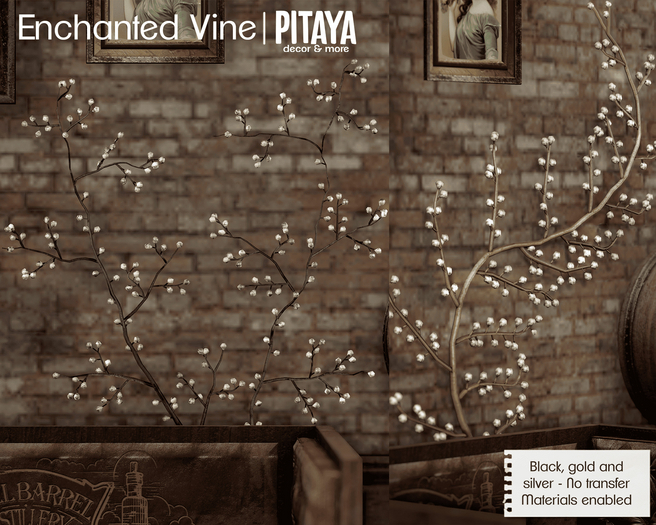Pitaya - Enchanted Vine - Silver