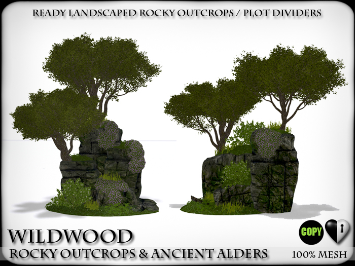 Giant Rocks - Rocky Outcrops with Ancient Alder Trees