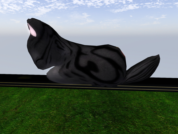 Stray Cats Kitten - Stray Kitty (M)