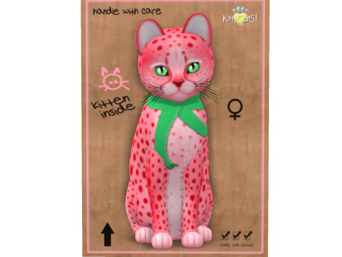 KittyCatS Box - Festive Cheetah! 2020