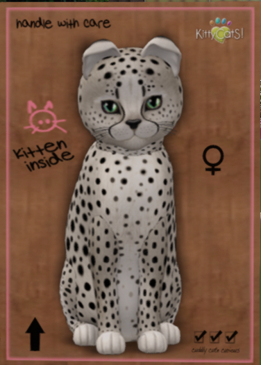 KittyCatS Box - New Born Kitten  250