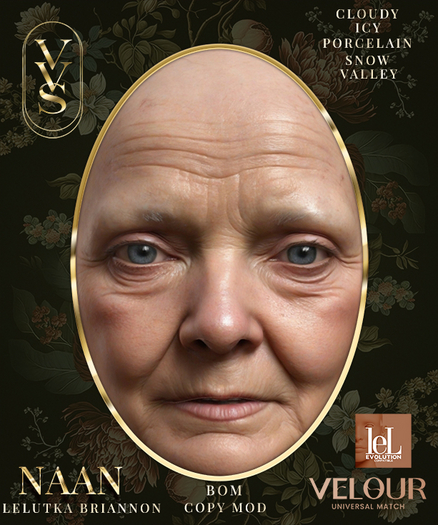 VV$ NAAN PORCELAIN