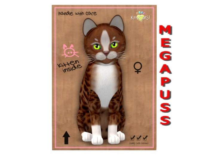 KittyCatS Box - Genesis - Ginger II - MegaPuss