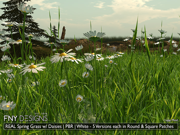 :FNY: Designs -  REAL Spring Grass with Daisies | PBR WHITE