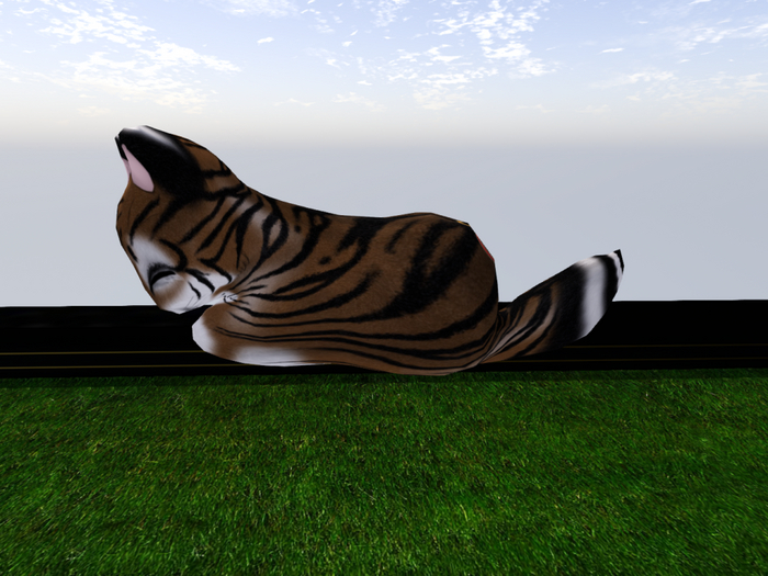 Stray Cats Kitten - Stray Kitty (M)