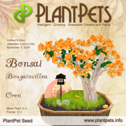 PlantPet Seed [Bonsai Bougainvillea *Oren*] Limited
