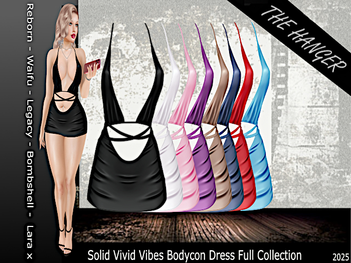 < The Hanger> Vivid Vibes Full Collection SOLID