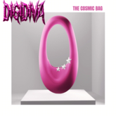 The Cosmic Bag / DIGIDIVA