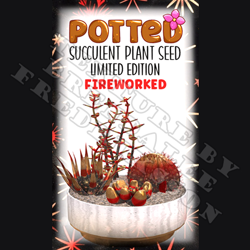 Potted: Succulent Plant Seed: LE Fireworked (ACTUAL PLANT SEED)