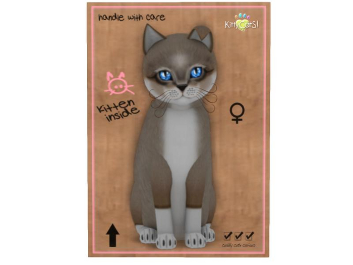 KittyCatS Box - 9 T - F - Foxie - Cocoa Cream
